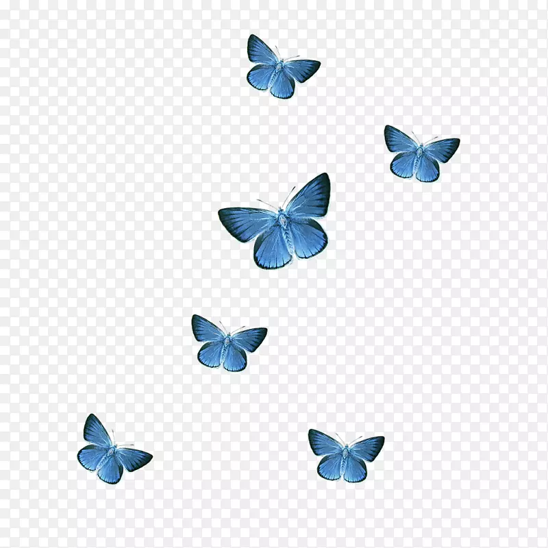 蝴蝶图标-蓝色蝴蝶
