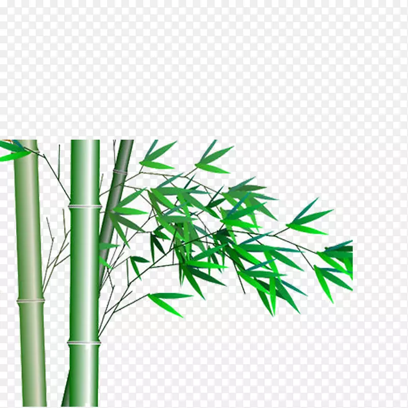 竹子图标-竹子