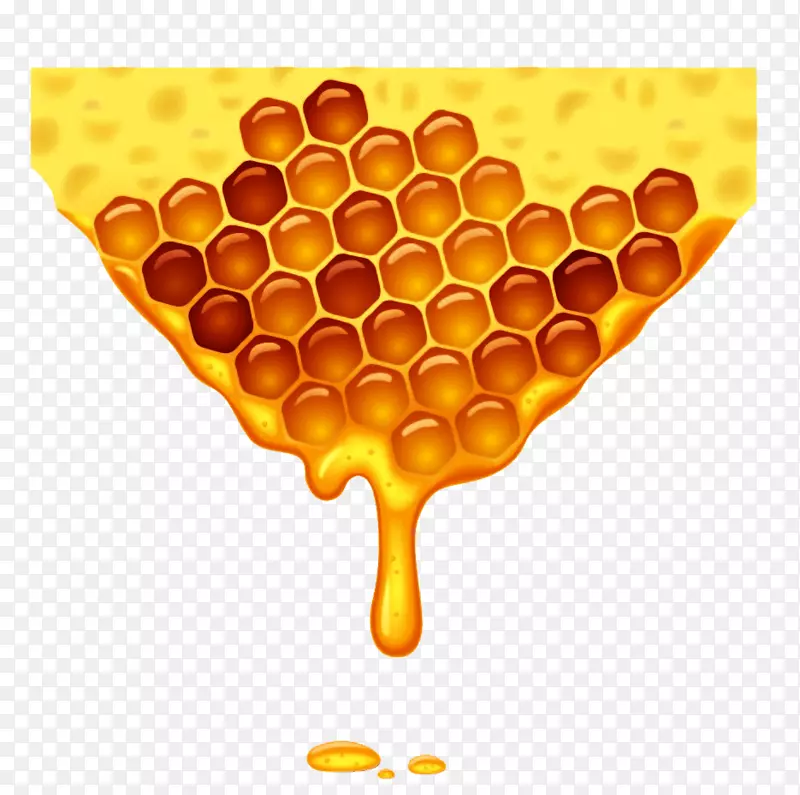 蜜蜂蜂巢-蜂巢载体
