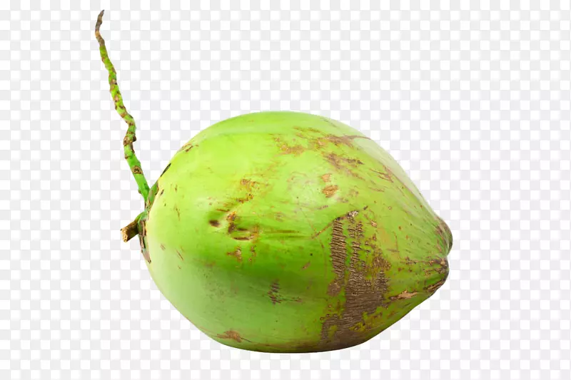 水果椰子水椰奶纳塔椰子新鲜绿色椰子
