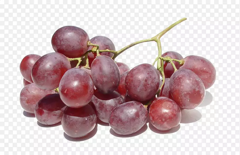 葡萄巨峰葡萄酒浆果奥格里斯-一串葡萄