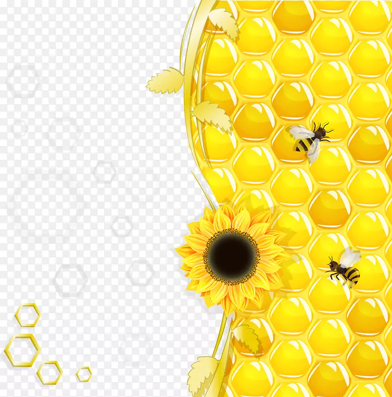 蜂巢蜜蜂蜂巢-黄色蜂蜜