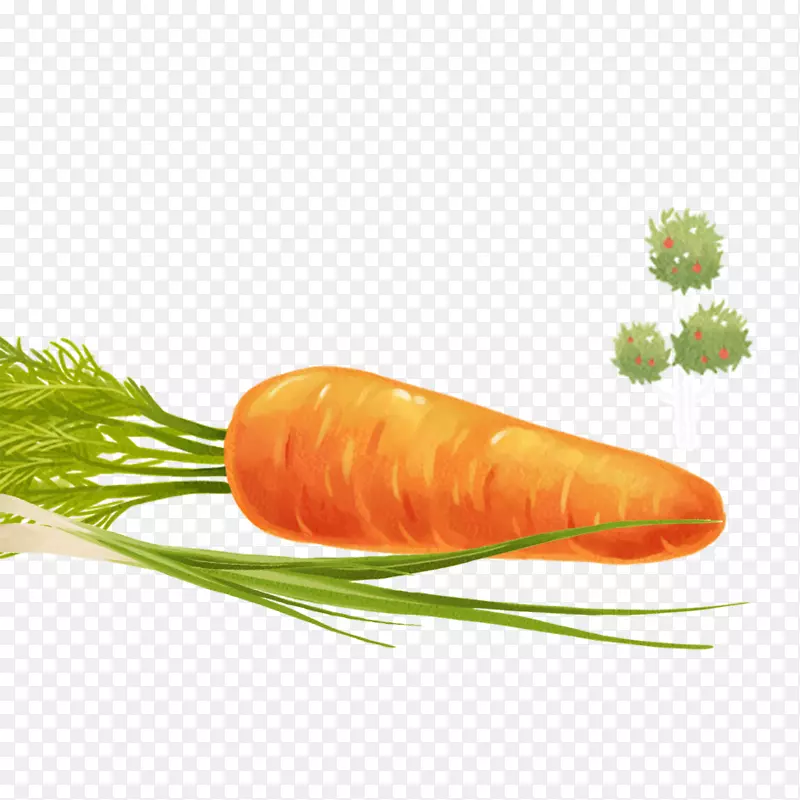 小胡萝卜蔬菜胡萝卜元素