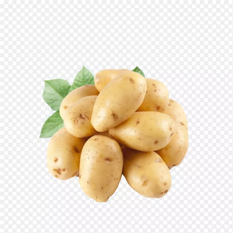 马铃薯叶类蔬菜营养种子-马铃薯
