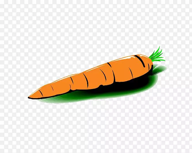 萝卜蔬菜萝卜