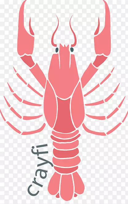 海鲜龙虾牡蛎龙虾食用蟹手绘粉红龙虾