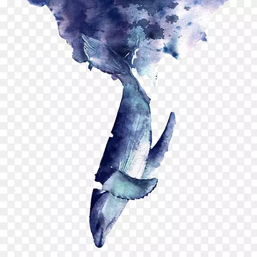 蓝鲸-鲸鱼倒置创意绘画创作形象