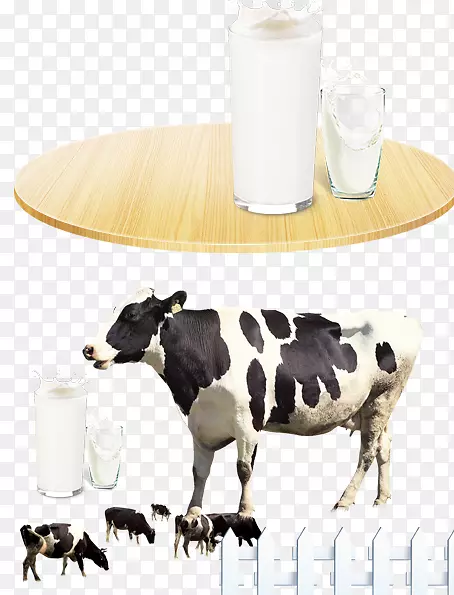 奶牛自动挤奶广告