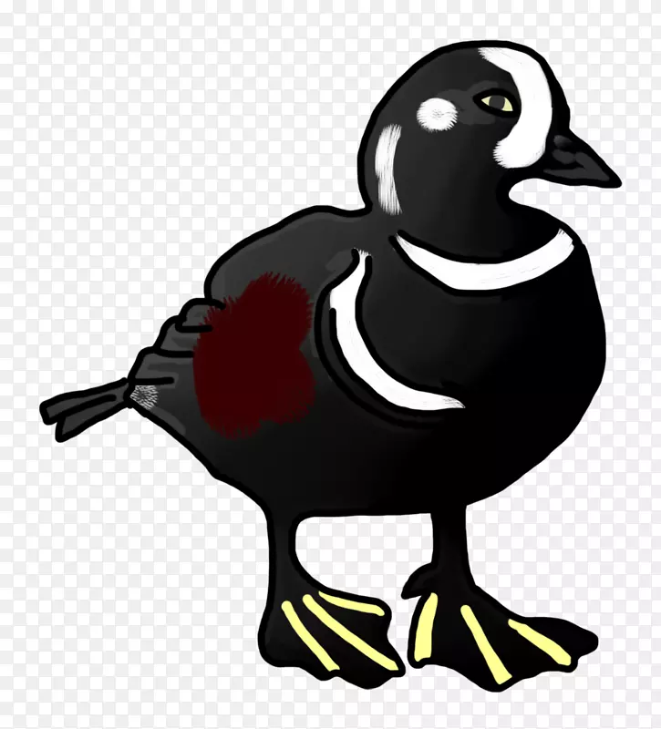 鸭鹅夹艺术-黑色鸭