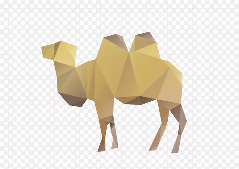 骆驼长颈鹿图-骆驼不规则