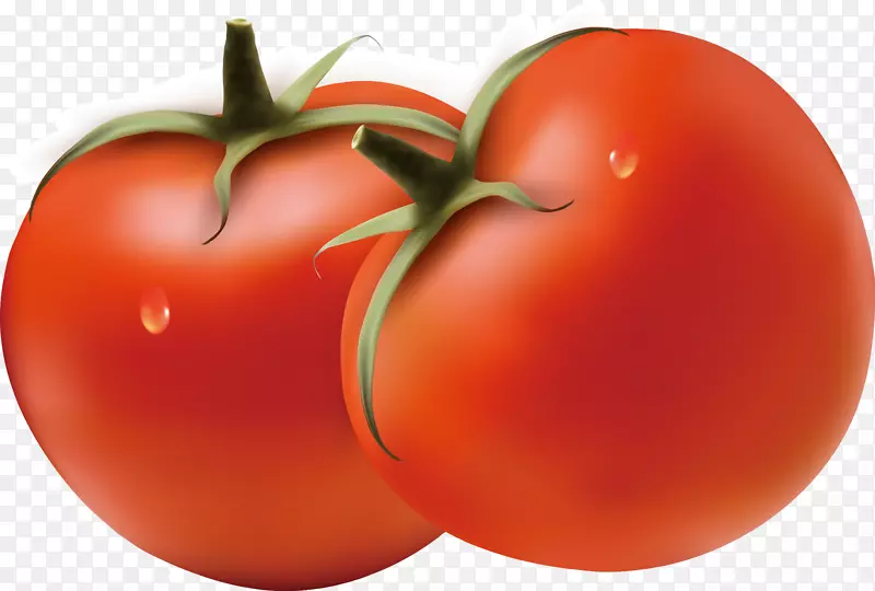 李子番茄汉堡包番茄蔬菜-番茄