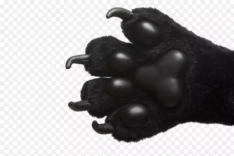 熊狗爪摄影-熊锋利的爪子