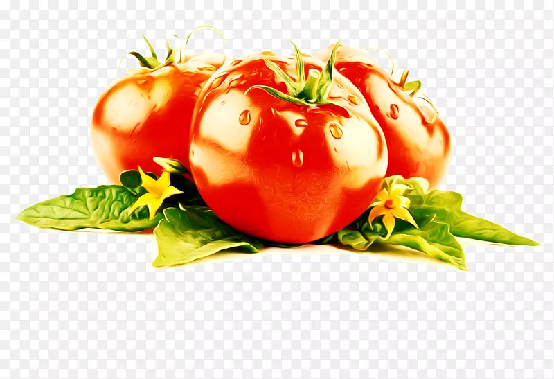 樱桃番茄红素蔬菜番茄提取物-番茄