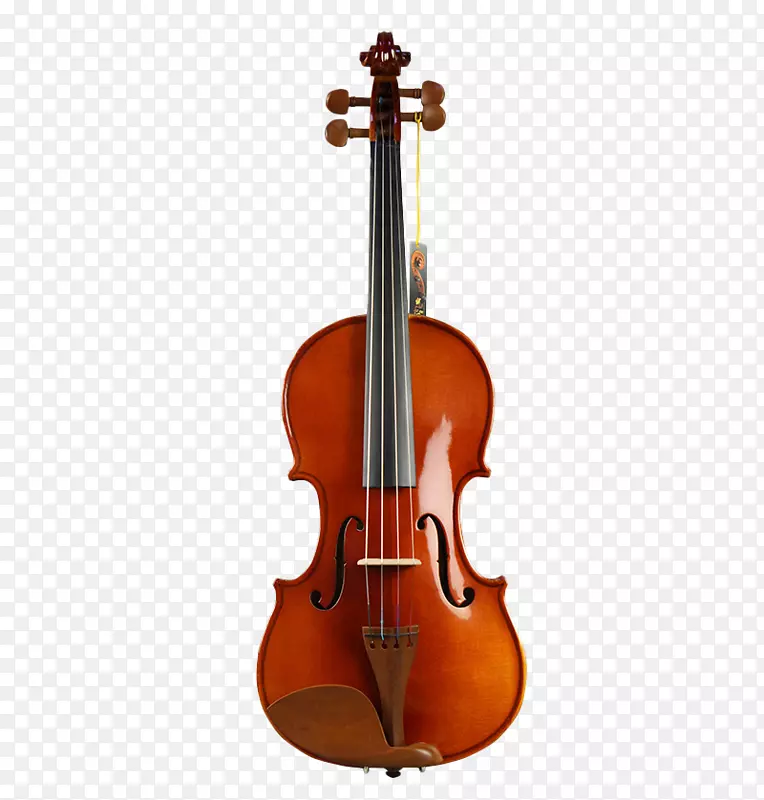 小提琴制作与维护斯特拉迪瓦勒斯乐器演奏家Zaomu初学小提琴