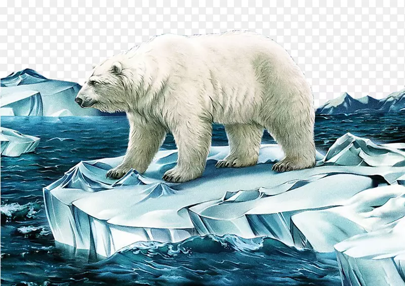 北极熊插图-北极熊