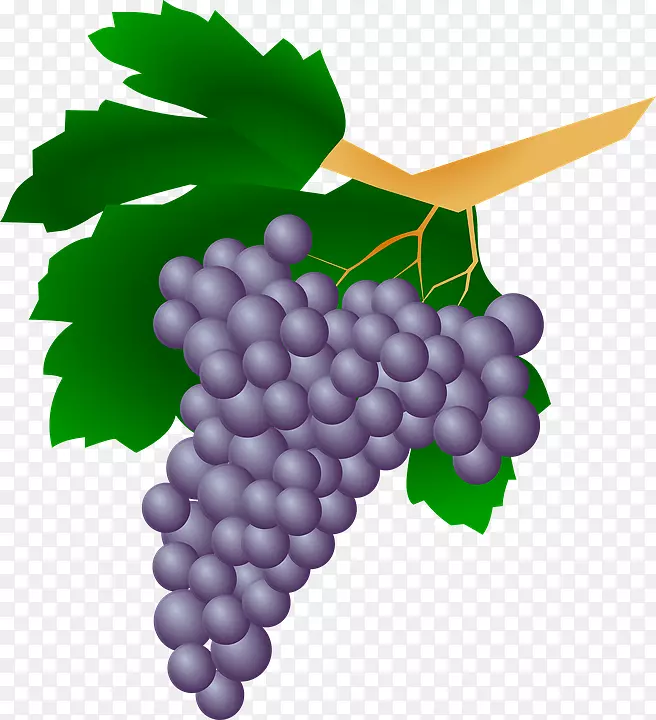 普通葡萄酒厂葡萄干剪贴画一串葡萄