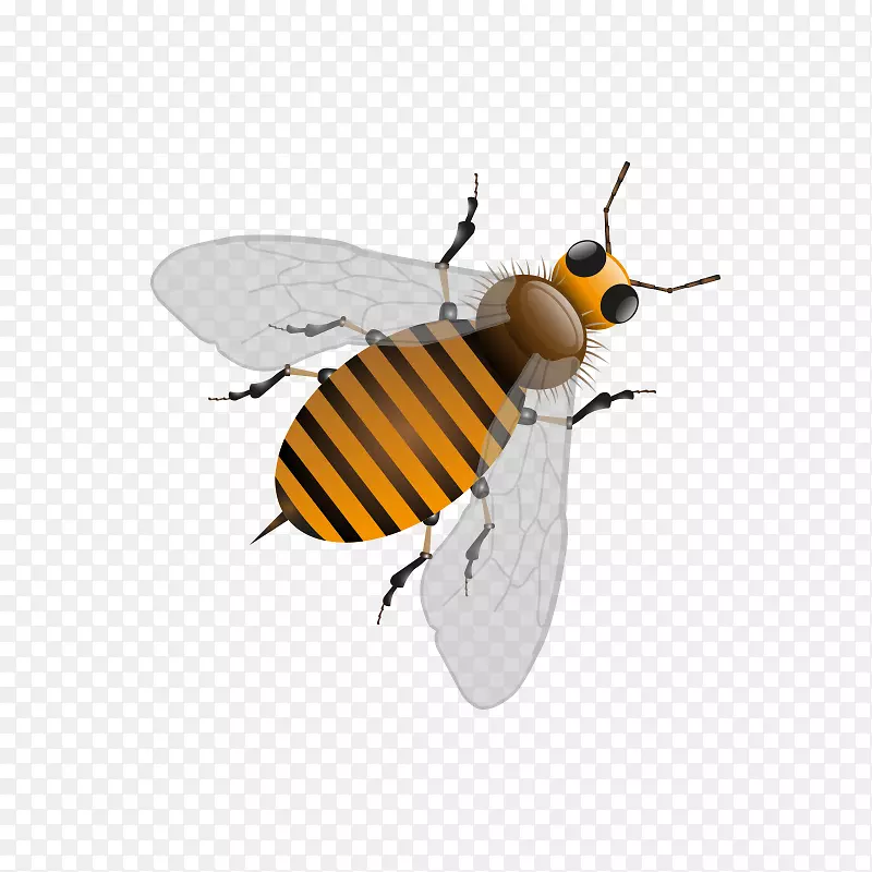 蜜蜂蜂巢图-蜜蜂