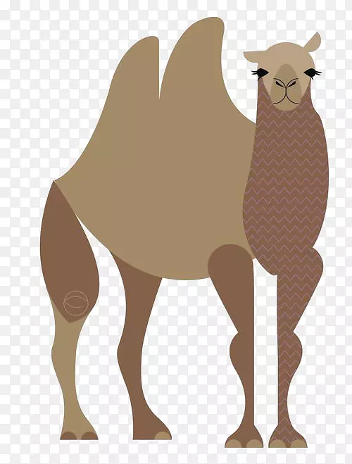 骆驼卡通长颈鹿插图-骆驼卡通