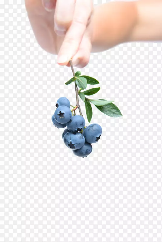 蓝莓早餐水果-蓝莓健康