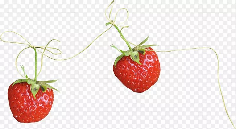 草莓果-草莓绳