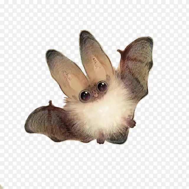 蝙蝠可爱绘画插图-超级孟蝙蝠