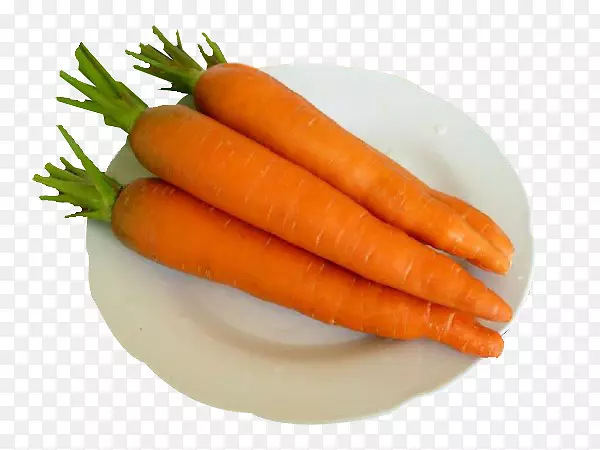 胡萝卜菜根菜-胡萝卜