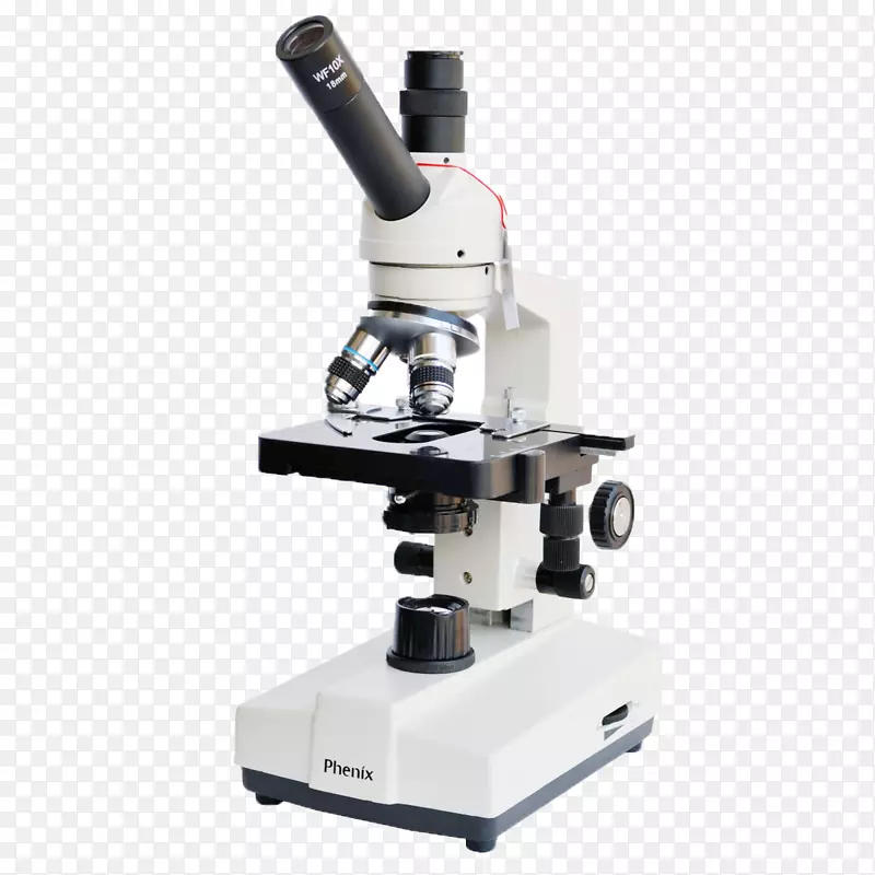 显微镜剪辑艺术-最新显微镜