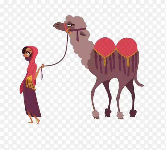 撒哈拉卡通插图-卡通骆驼