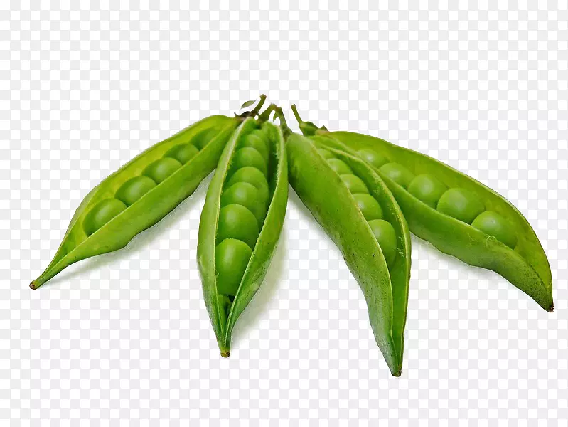 豌豆豆类蔬菜