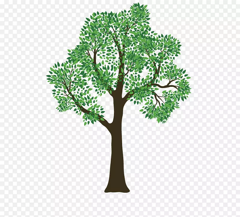 Rivas树服务修剪植物