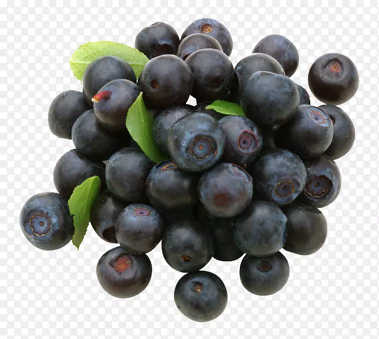欧洲蓝莓水果-蓝莓照片
