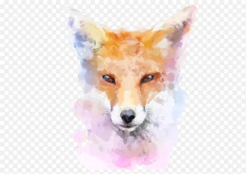 狐狸水彩画图例手绘狐狸