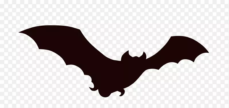 蝙蝠动画剪辑艺术-蝙蝠