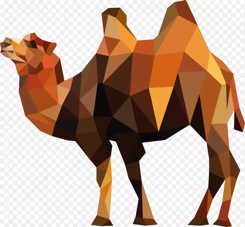 骆驼标志-骆驼载体