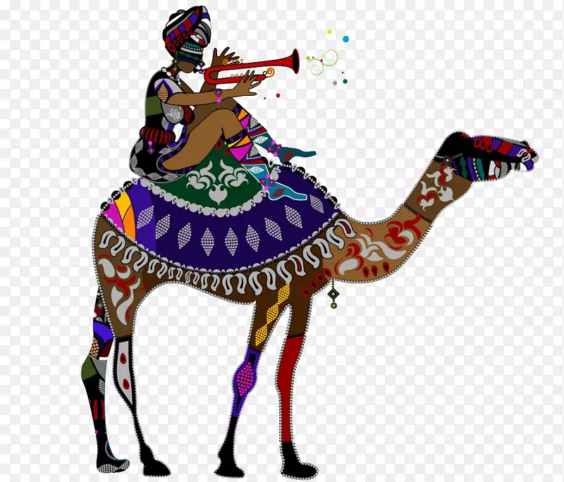 骆驼插图摄影.骆驼卡通
