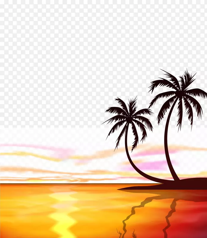 日落日出槟榔科-动画材料海上日出