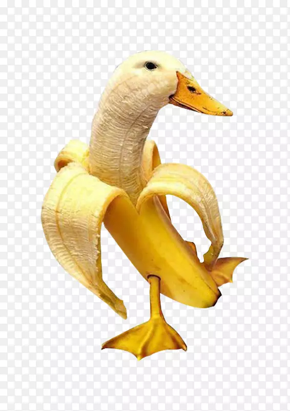 鸭鹅早餐香蕉食品-香蕉