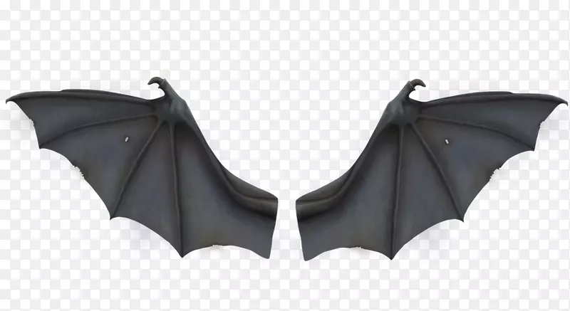 蝙蝠翼发展飞行剪辑艺术灰蝙蝠翅膀