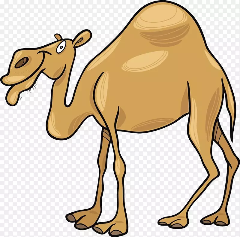 卡通剪贴画-卡通骆驼