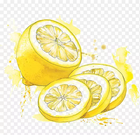 水彩画食品画插图.水彩柠檬