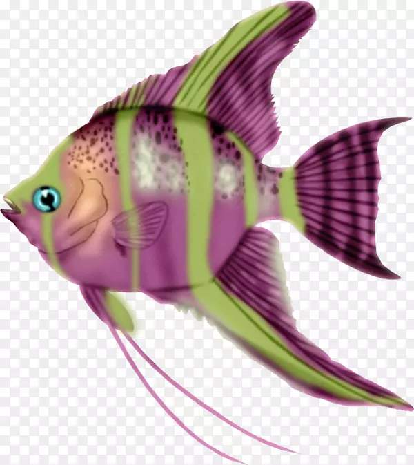 鱼类剪贴画-五彩缤纷的鱼