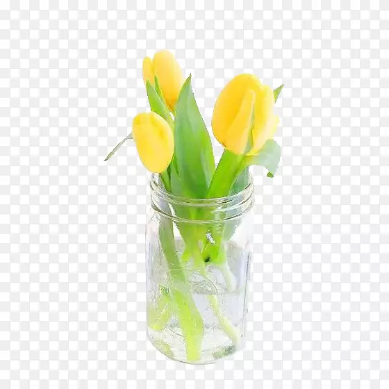 郁金香花设计-黄色郁金香花布置