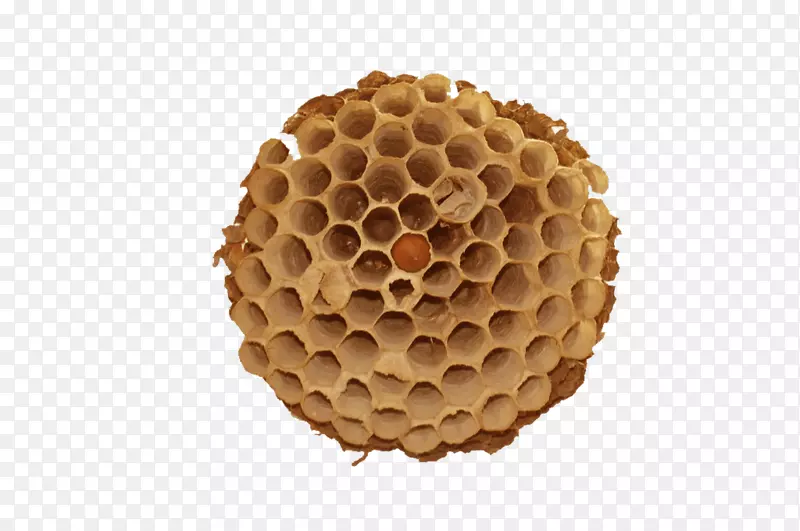 蜂巢材料