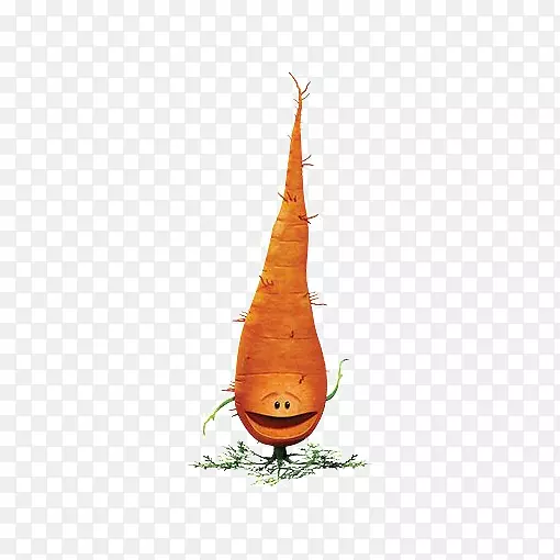 胡萝卜绘图图标-卡通胡萝卜