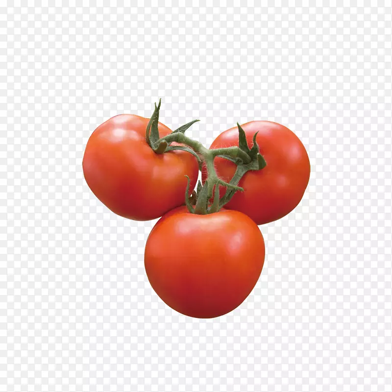 李子番茄蔬菜-番茄
