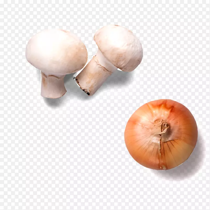 汉堡包洋葱蘑菇蔬菜-洋葱蘑菇