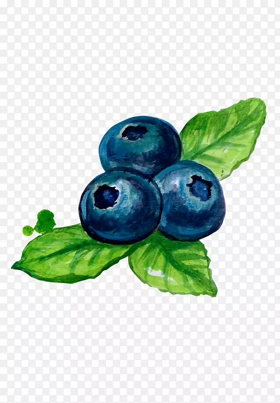 蓝莓果-蓝莓漆风