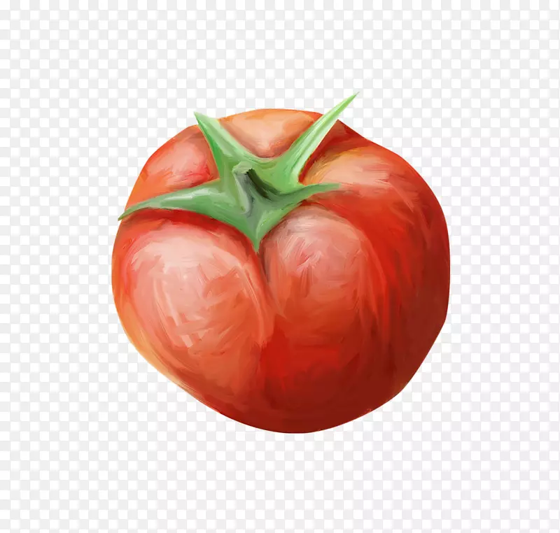 番茄蔬菜水果zxfcrcher geschnetzeltes Chili concarne-番茄
