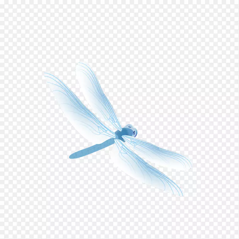 昆虫蜻蜓墙纸.蓝色蜻蜓