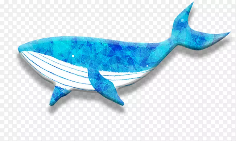 海豚鲸-海豚